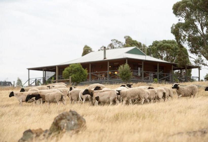 酒店 Gilgraves Vineyard Farmstay