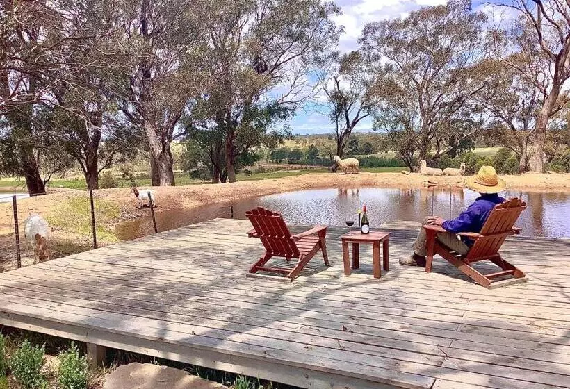 ホテル Gilgraves Vineyard Farmstay