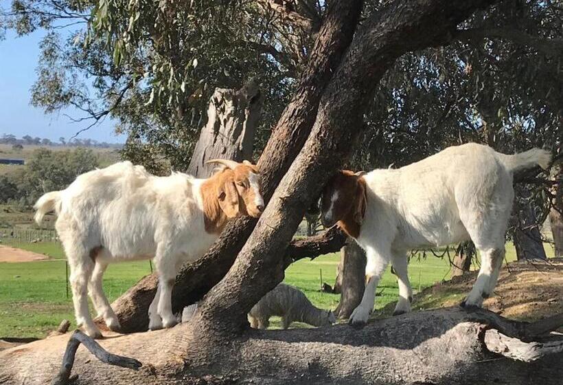 酒店 Gilgraves Vineyard Farmstay