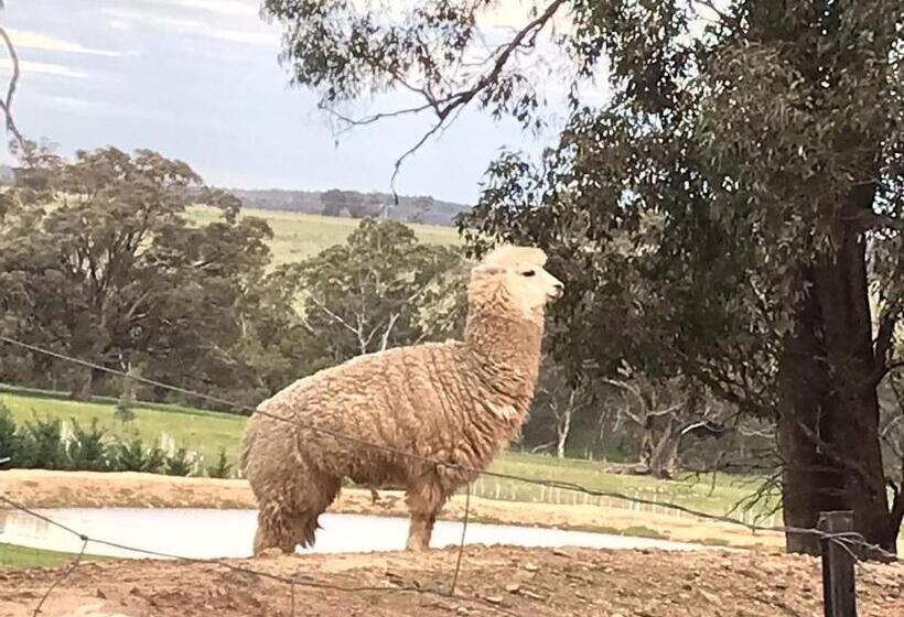 酒店 Gilgraves Vineyard Farmstay