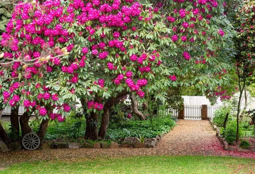 Motelli Anabel's Of Scottsdale