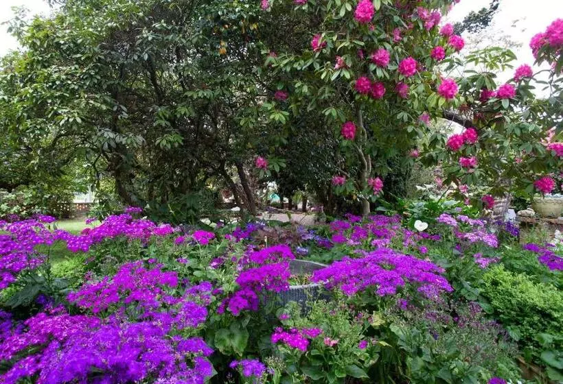 Motelli Anabel's Of Scottsdale