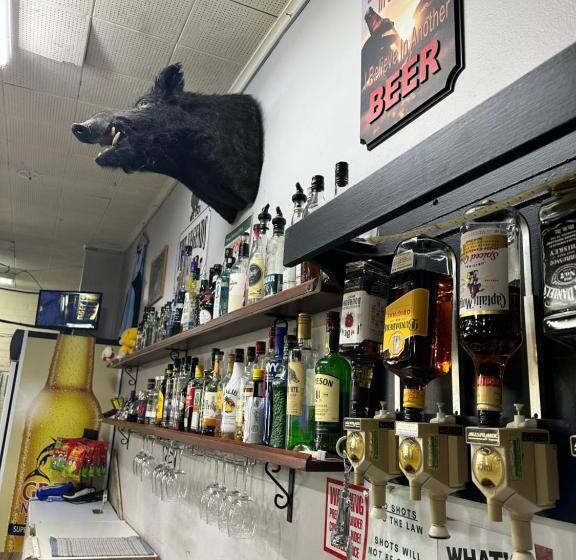 汽车旅馆 The Shamrock Hotel Balranald