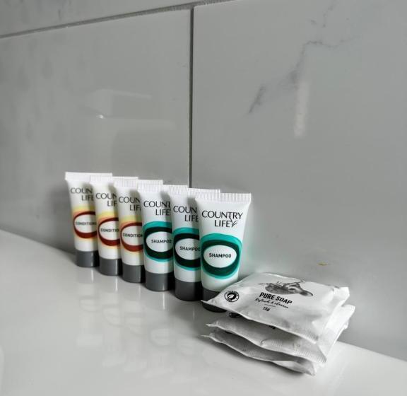 汽车旅馆 The Shamrock Hotel Balranald