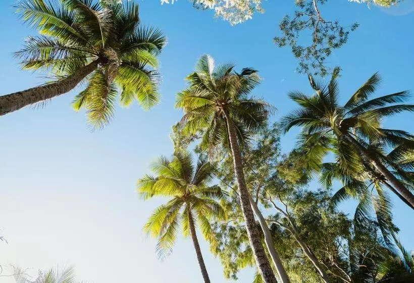 Villa Beach Palm Cove