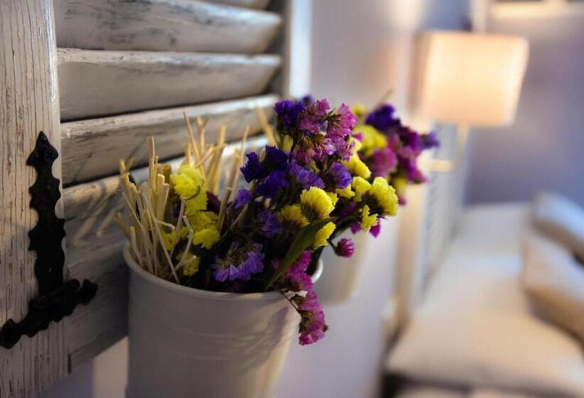 호스텔 Pensione Oliva