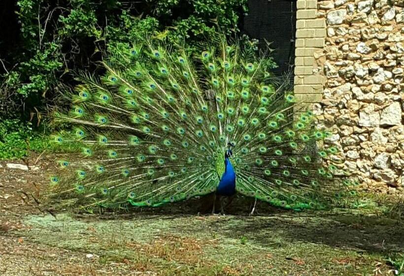 住宿加早餐 A La Folly The Retreat