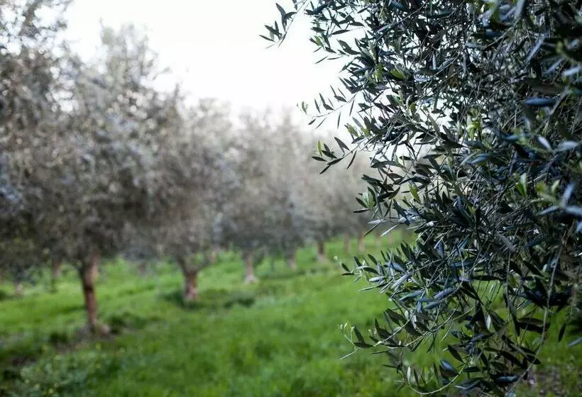 ベッドアンドブレックファースト Hart's Farm