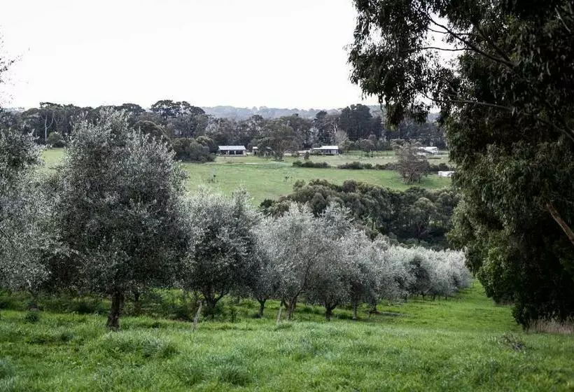 ベッドアンドブレックファースト Hart's Farm