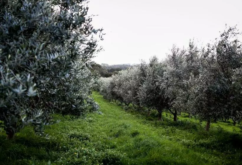 ベッドアンドブレックファースト Hart's Farm