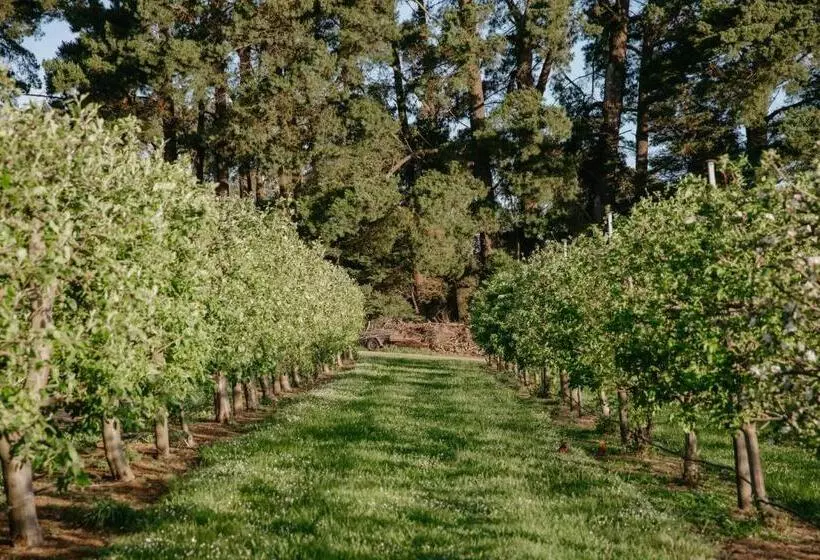 ベッドアンドブレックファースト Hart's Farm