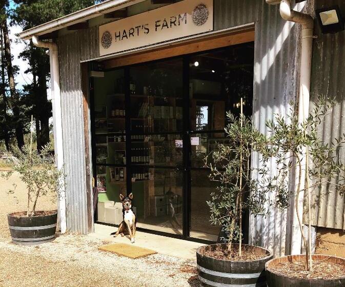 住宿加早餐 Hart's Farm