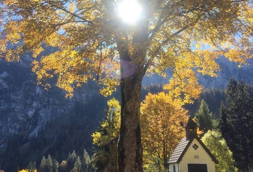 مبيت وإفطار Landhaus Graßmann