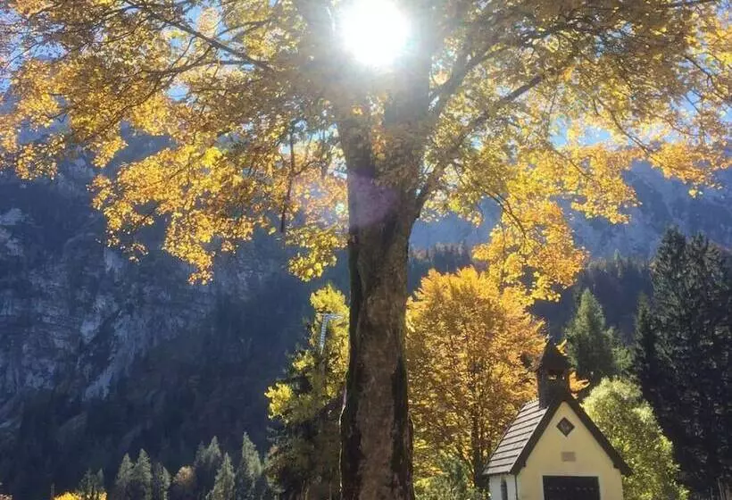 Aamiaismajoitus (B&B) Landhaus Graßmann