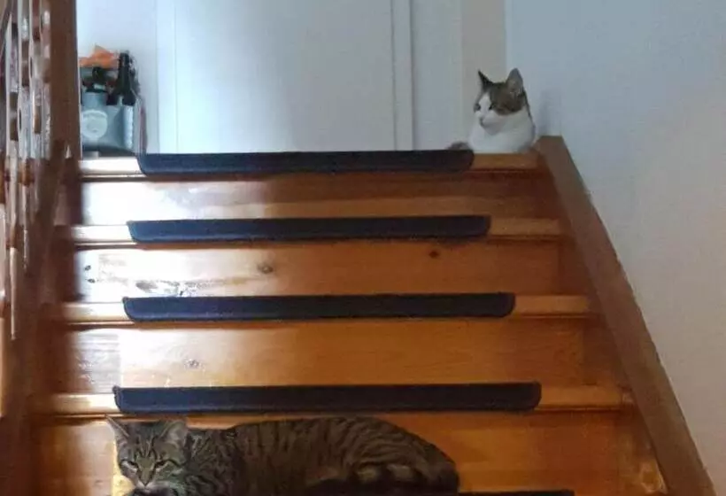 Aamiaismajoitus (B&B) Landhaus Graßmann