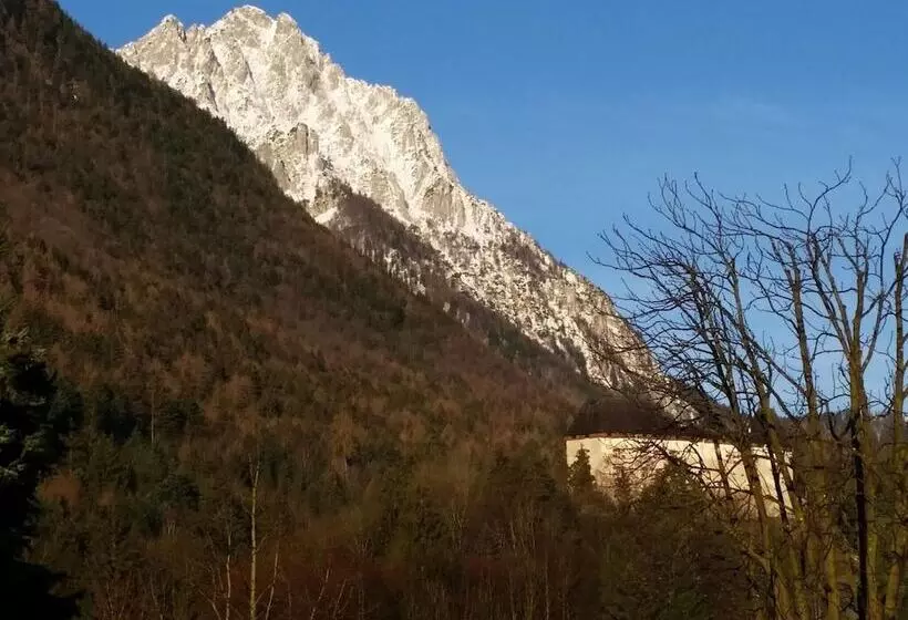 Aamiaismajoitus (B&B) Landhaus Graßmann