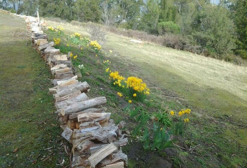 Bed and Breakfast Marinavisage