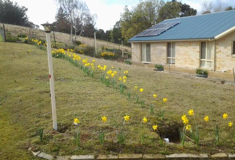 Bed and Breakfast Marinavisage