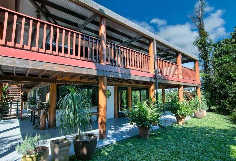 Daintree Manor B&b