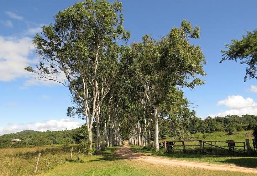 Gumtree On Gillies Bed And Breakfast