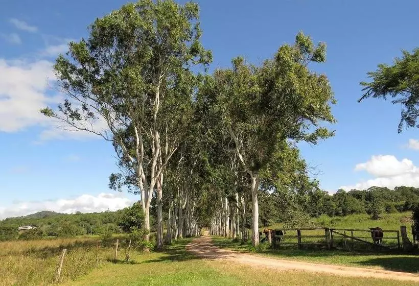 Gumtree On Gillies Bed And Breakfast