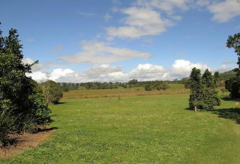 Gumtree On Gillies Bed And Breakfast