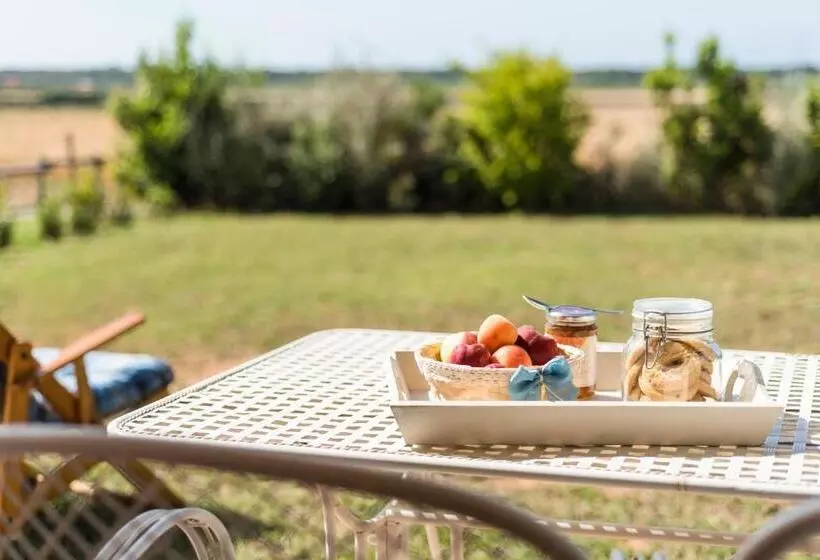 ホテル Agriturismo Terre Di Castiglione