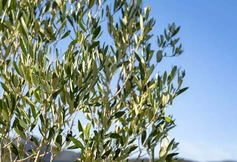 ホテル Agriturismo Terre Di Castiglione
