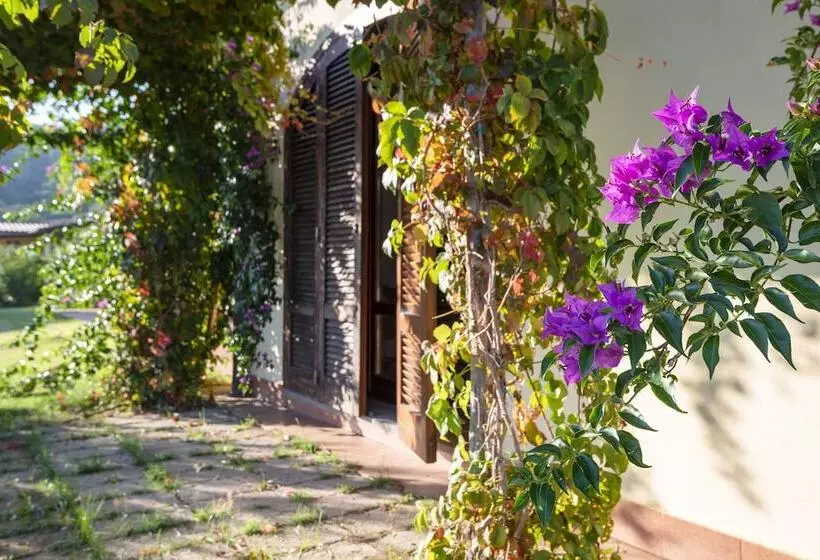 ホテル Agriturismo Terre Di Castiglione
