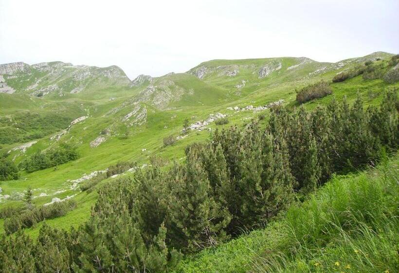 Отель Albergo Sichi