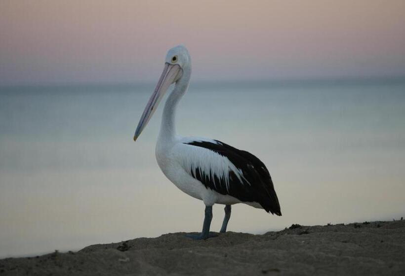 渡假胜地  Mackerel Islands
