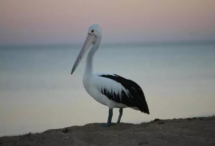 リゾートホテル Mackerel Islands