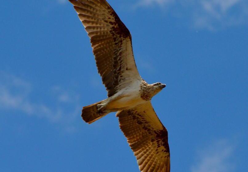 渡假胜地  Mackerel Islands