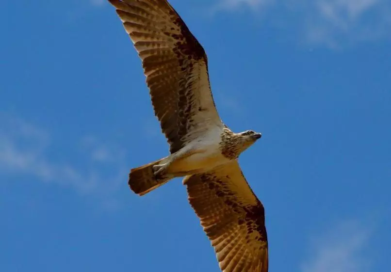 リゾートホテル Mackerel Islands