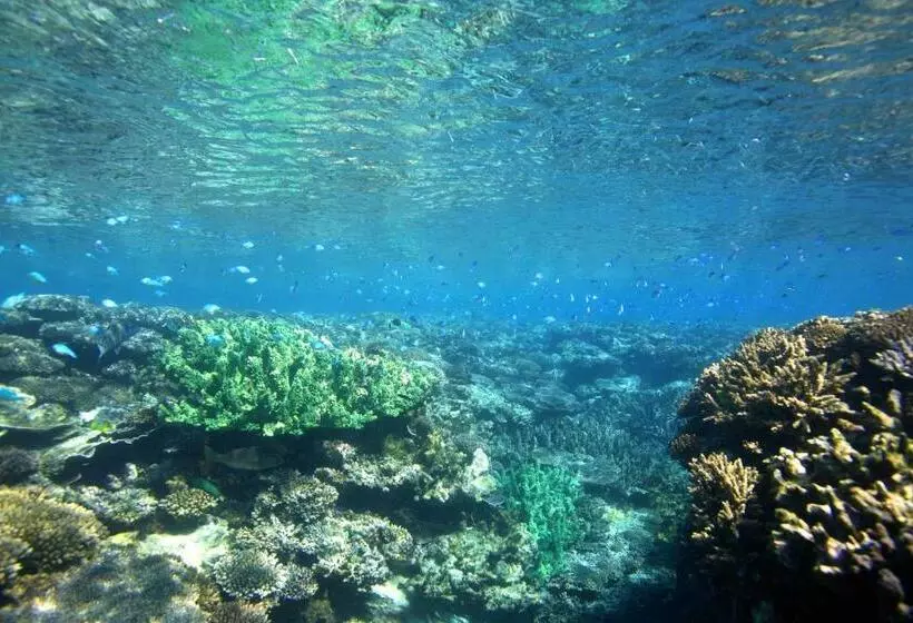 リゾートホテル Mackerel Islands