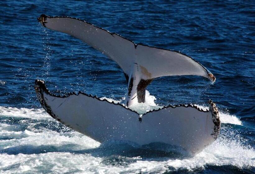 渡假胜地  Mackerel Islands