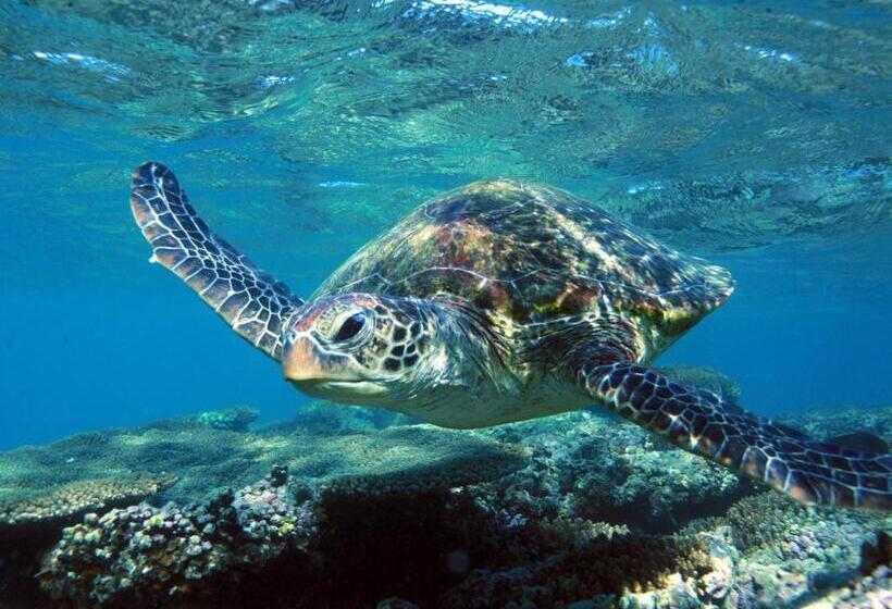 渡假胜地  Mackerel Islands