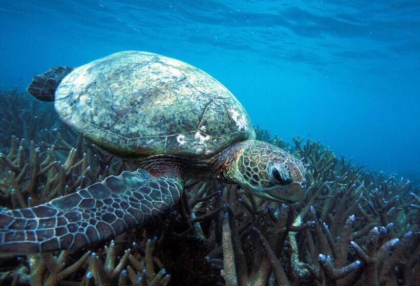 渡假胜地  Mackerel Islands