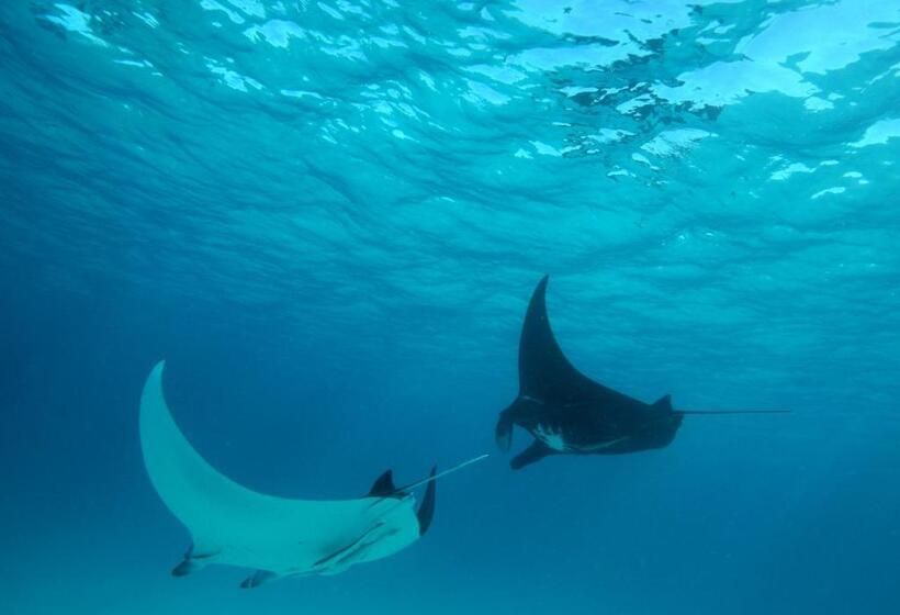 渡假胜地  Mackerel Islands