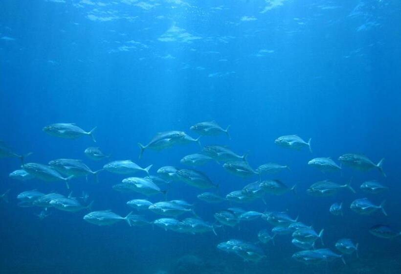 渡假胜地  Mackerel Islands