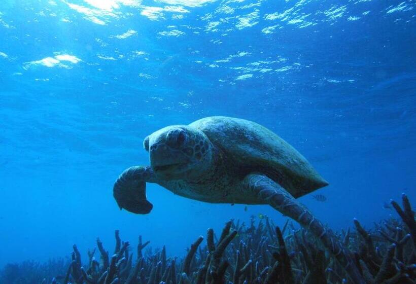 渡假胜地  Mackerel Islands