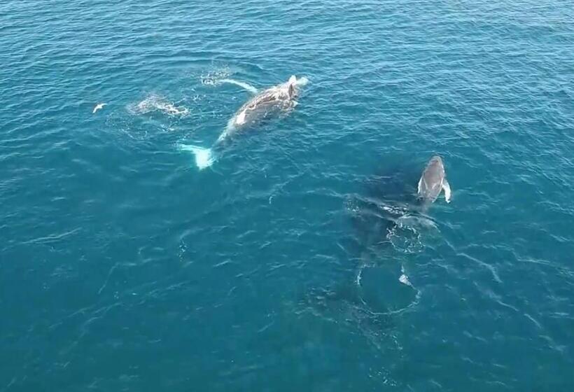 渡假胜地  Mackerel Islands
