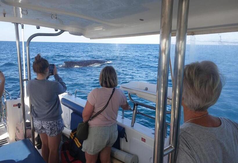 渡假胜地  Mackerel Islands
