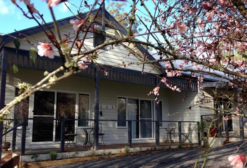 汽车旅馆 Goldberryaccommodation