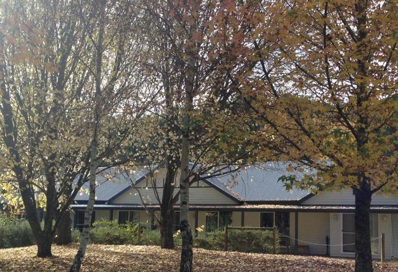 汽车旅馆 Goldberryaccommodation