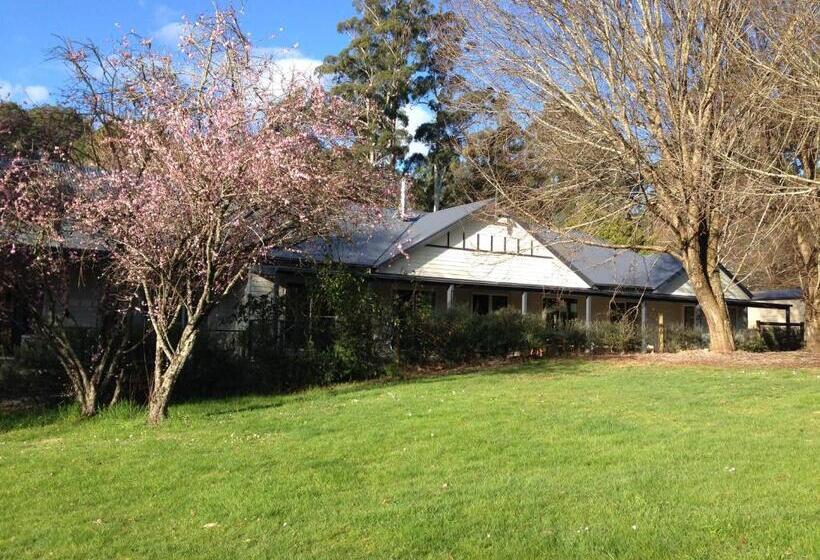 汽车旅馆 Goldberryaccommodation