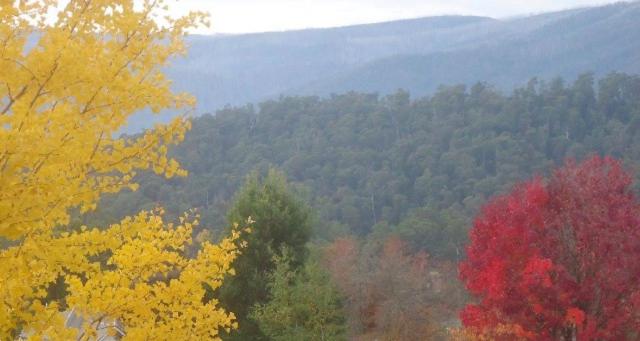 汽车旅馆 Goldberryaccommodation