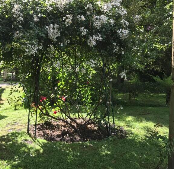 汽车旅馆 Goldberryaccommodation