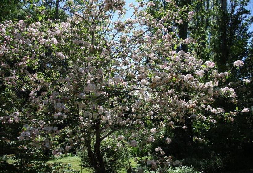 Пансион River Cottage