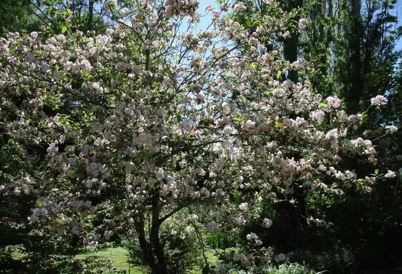 Majatalo River Cottage